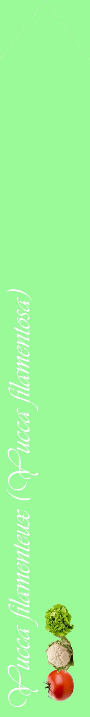 Étiquette de : Yucca filamentosa - format c - style blanche14_simpleviv avec comestibilité simplifiée