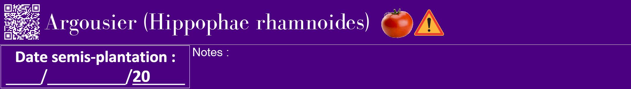 Étiquette de : Hippophae rhamnoides - format a - style blanche47bod avec qrcode et comestibilité simplifiée