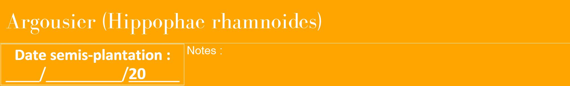 Étiquette de : Hippophae rhamnoides - format a - style blanche22bod avec comestibilité