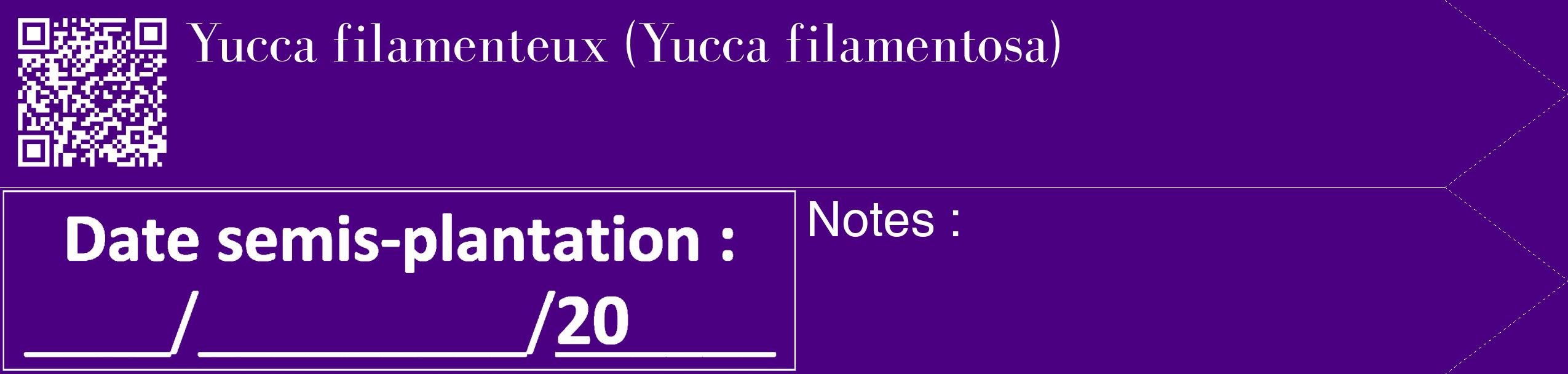Étiquette de : Yucca filamentosa - format c - style blanche47_simple_simplebod avec qrcode et comestibilité