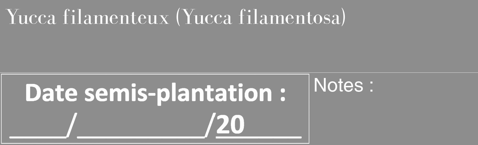Étiquette de : Yucca filamentosa - format c - style blanche2_basique_basiquebod avec comestibilité
