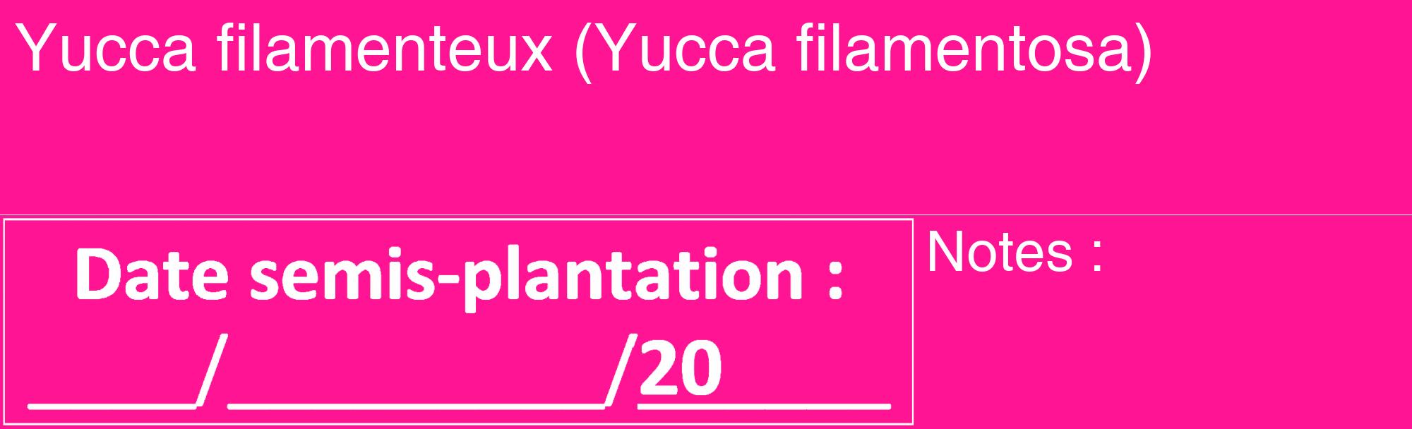 Étiquette de : Yucca filamentosa - format c - style blanche43_basique_basiquehel avec comestibilité