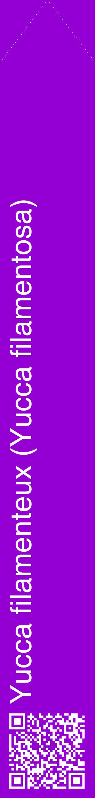 Étiquette de : Yucca filamentosa - format c - style blanche48_simplehel avec qrcode et comestibilité