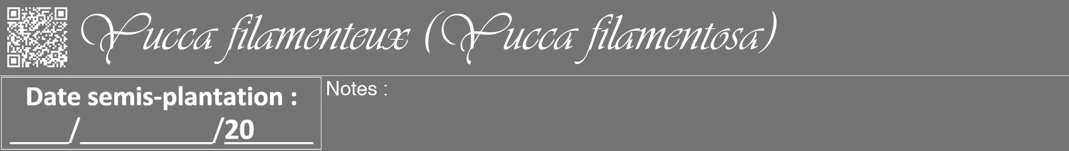 Étiquette de : Yucca filamentosa - format a - style blanche26viv avec qrcode et comestibilité