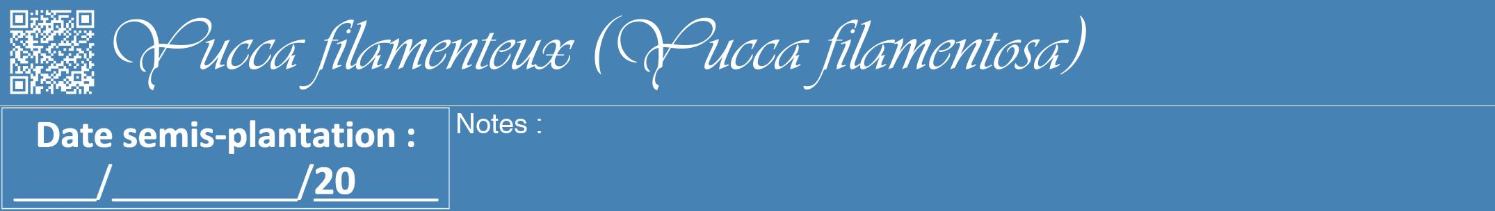 Étiquette de : Yucca filamentosa - format a - style blanche5viv avec qrcode et comestibilité