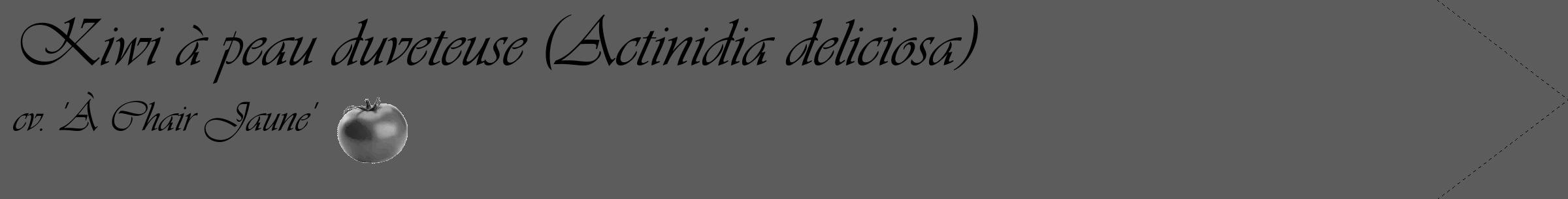 Étiquette de : Actinidia deliciosa cv. 'À Chair Jaune' - format c - style noire49_simple_simpleviv avec comestibilité simplifiée