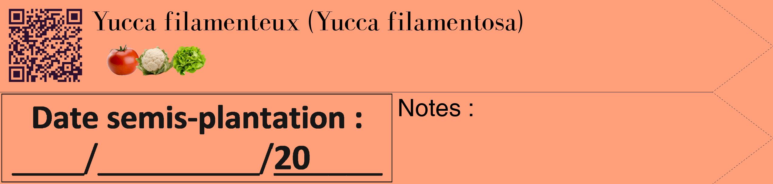 Étiquette de : Yucca filamentosa - format c - style noire39_simple_simplebod avec qrcode et comestibilité simplifiée