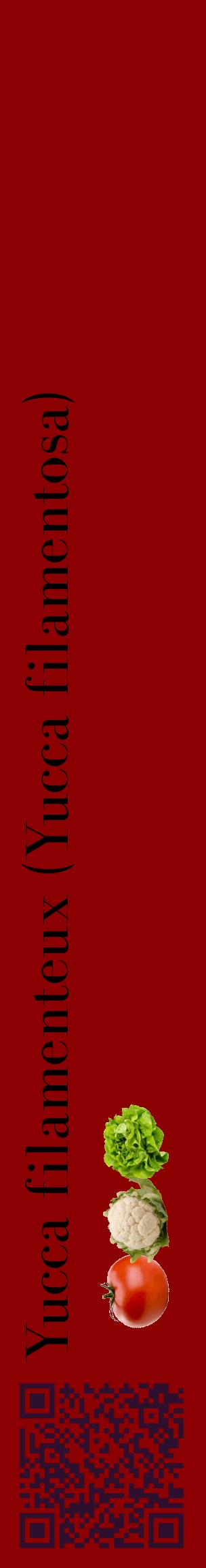 Étiquette de : Yucca filamentosa - format c - style noire34_basiquebod avec qrcode et comestibilité simplifiée