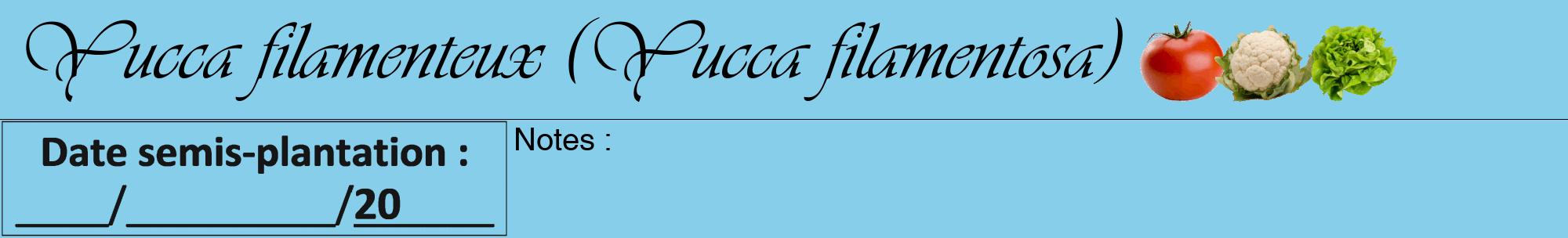 Étiquette de : Yucca filamentosa - format a - style noire1viv avec comestibilité simplifiée