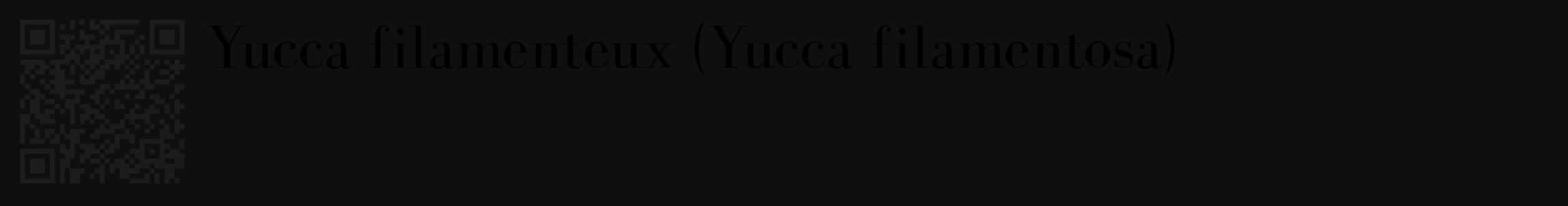 Étiquette de : Yucca filamentosa - format c - style noire7_basique_basiquebod avec qrcode et comestibilité