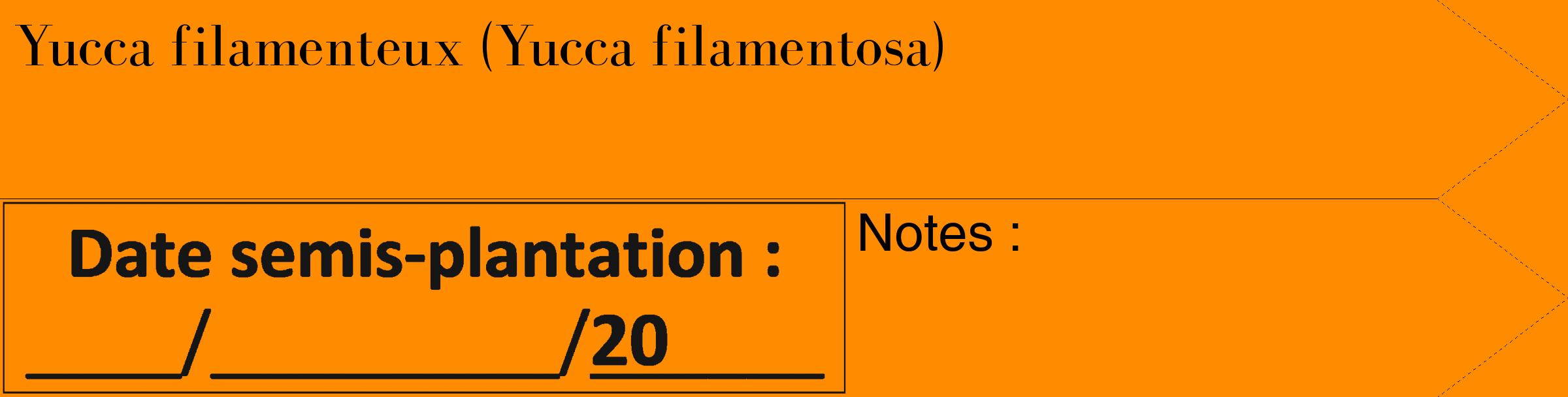 Étiquette de : Yucca filamentosa - format c - style noire23_simple_simplebod avec comestibilité