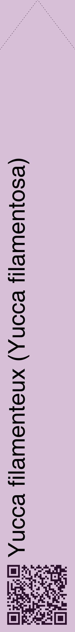 Étiquette de : Yucca filamentosa - format c - style noire54_simplehel avec qrcode et comestibilité