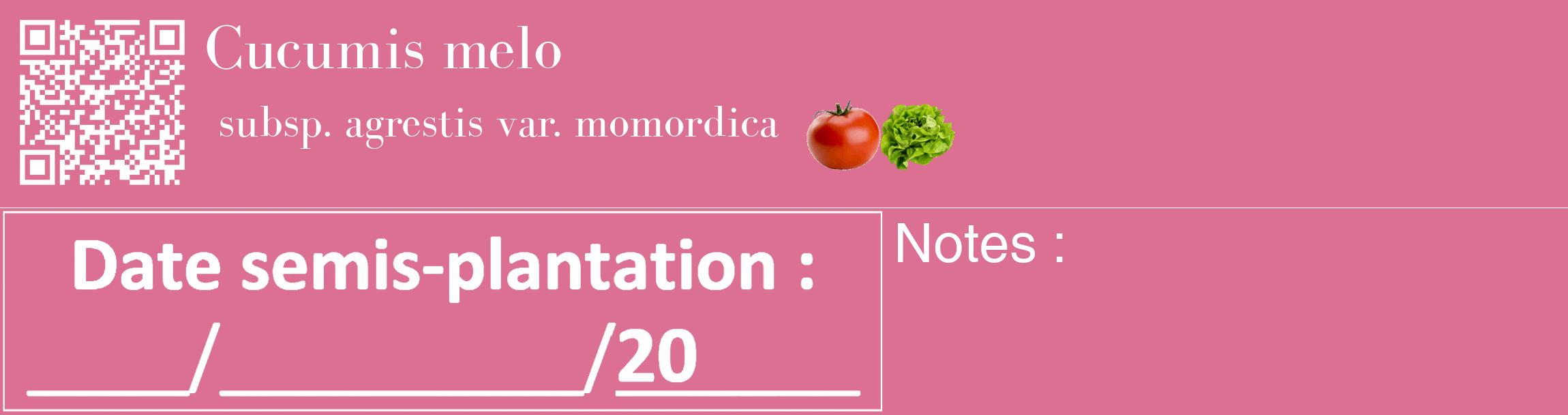 Étiquette de : Cucumis melo subsp. agrestis var. momordica - format c - style blanche44_basique_basiquebod avec qrcode et comestibilité simplifiée