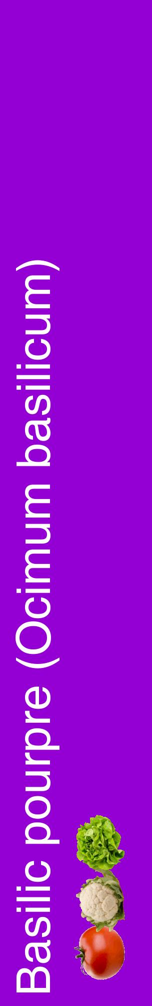Étiquette de : Ocimum basilicum - format c - style blanche48_basiquehel avec comestibilité simplifiée