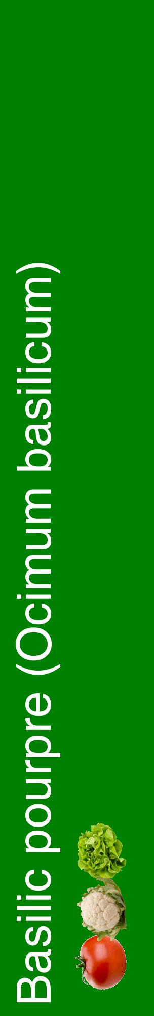 Étiquette de : Ocimum basilicum - format c - style blanche9_basiquehel avec comestibilité simplifiée