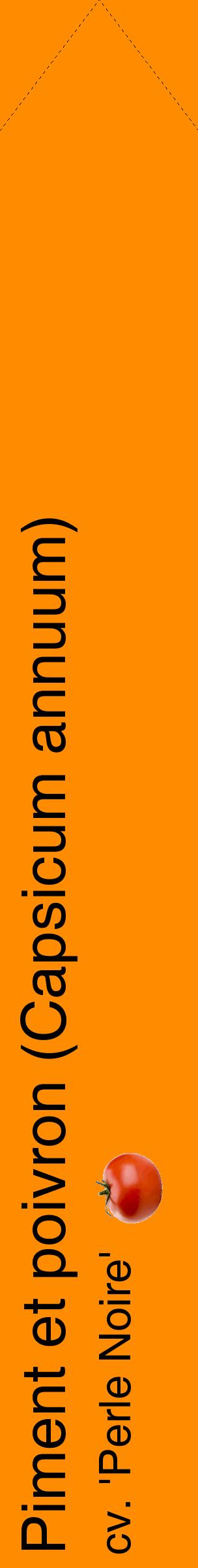 Étiquette de : Capsicum annuum cv. 'Perle Noire' - format c - style noire23_simplehel avec comestibilité simplifiée
