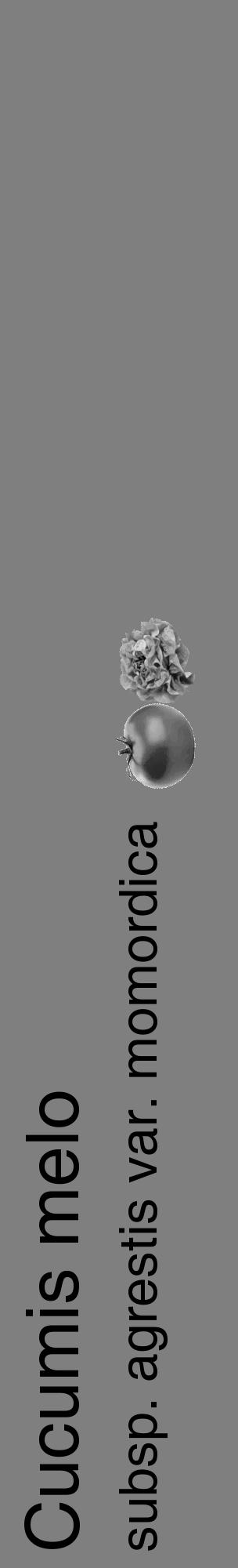 Étiquette de : Cucumis melo subsp. agrestis var. momordica - format c - style noire31_basique_basiquehel avec comestibilité simplifiée - position verticale