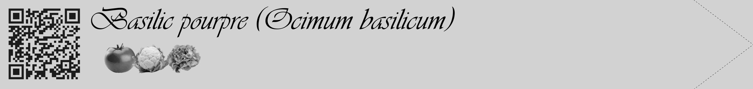Étiquette de : Ocimum basilicum - format c - style noire14_simple_simpleviv avec qrcode et comestibilité simplifiée