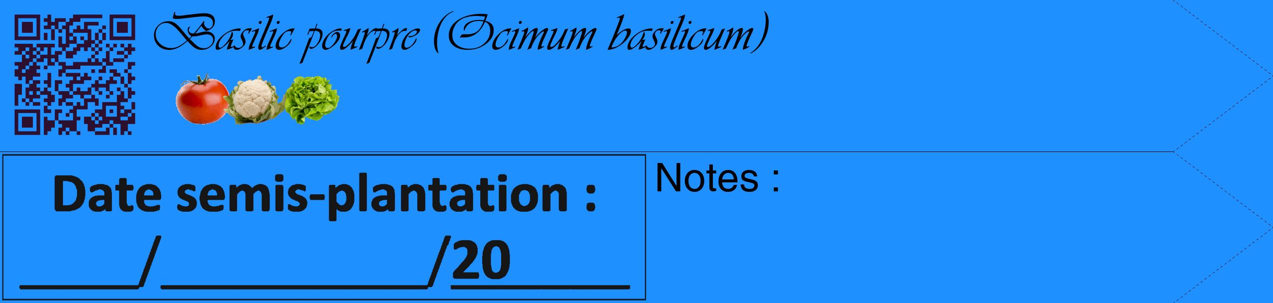 Étiquette de : Ocimum basilicum - format c - style noire3_simple_simpleviv avec qrcode et comestibilité simplifiée
