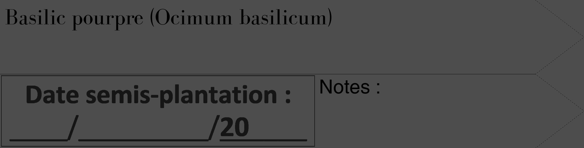 Étiquette de : Ocimum basilicum - format c - style noire28_simple_simplebod avec comestibilité