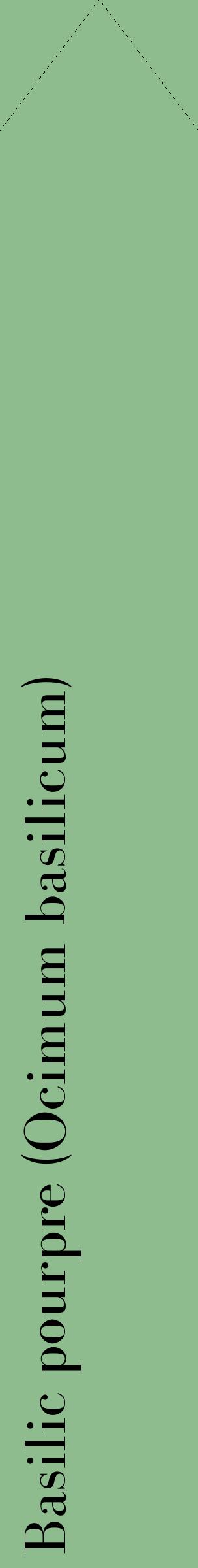 Étiquette de : Ocimum basilicum - format c - style noire13_simplebod avec comestibilité