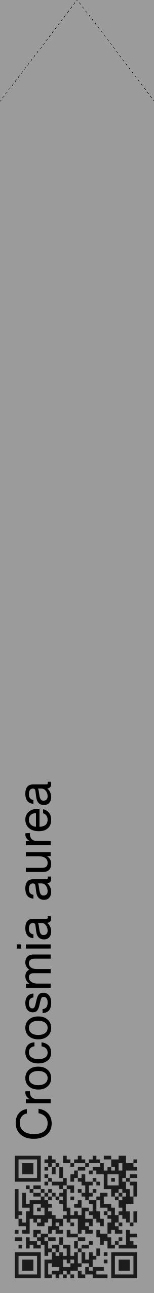 Étiquette de : Crocosmia aurea - format c - style noire52_simple_simplehel avec qrcode et comestibilité - position verticale