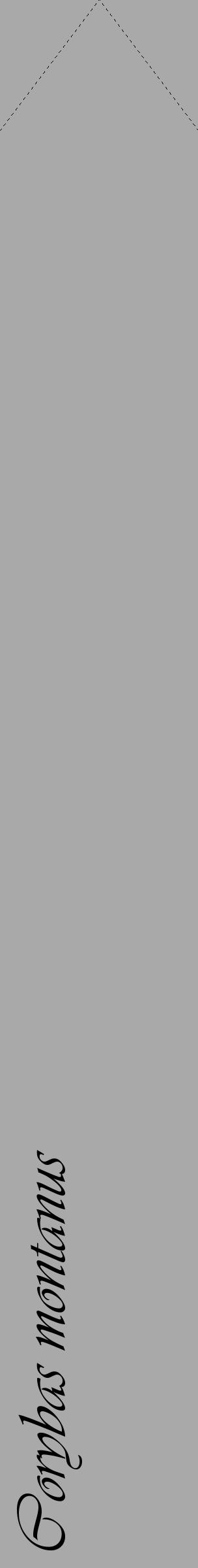 Étiquette de : Corybas montanus - format c - style noire13_simple_simpleviv avec comestibilité - position verticale