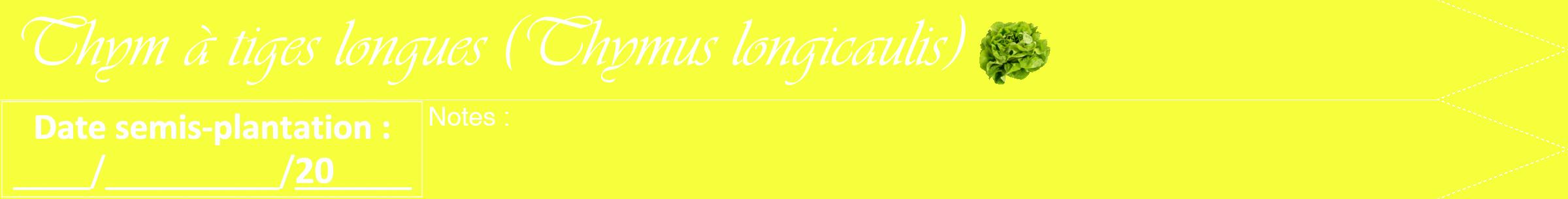 Étiquette de : Thymus longicaulis - format b - style blanche18viv avec comestibilité simplifiée