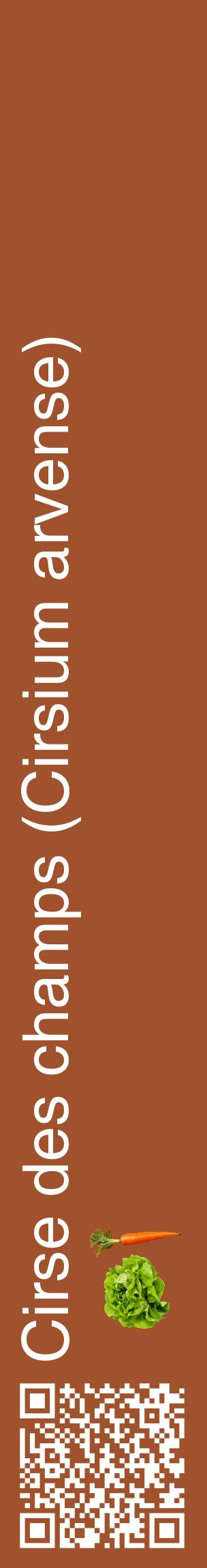 Étiquette de : Cirsium arvense - format c - style blanche32_basiquehel avec qrcode et comestibilité simplifiée