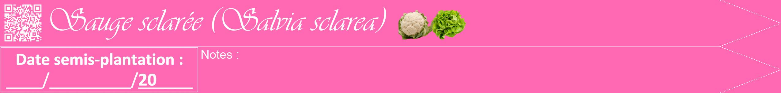 Étiquette de : Salvia sclarea - format b - style blanche42viv avec qrcode et comestibilité simplifiée