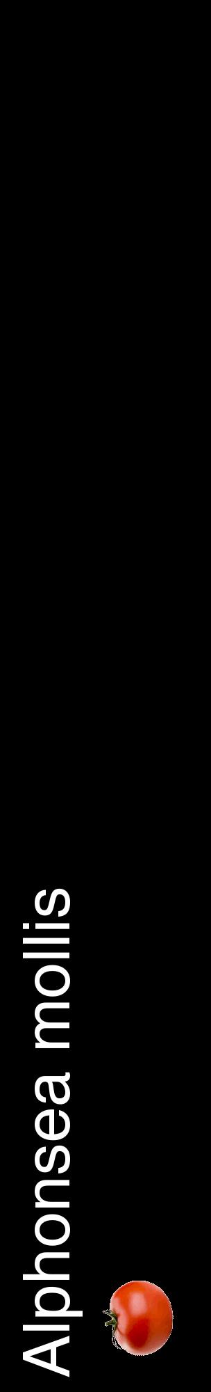 Étiquette de : Alphonsea mollis - format c - style blanche59_basiquehel avec comestibilité simplifiée