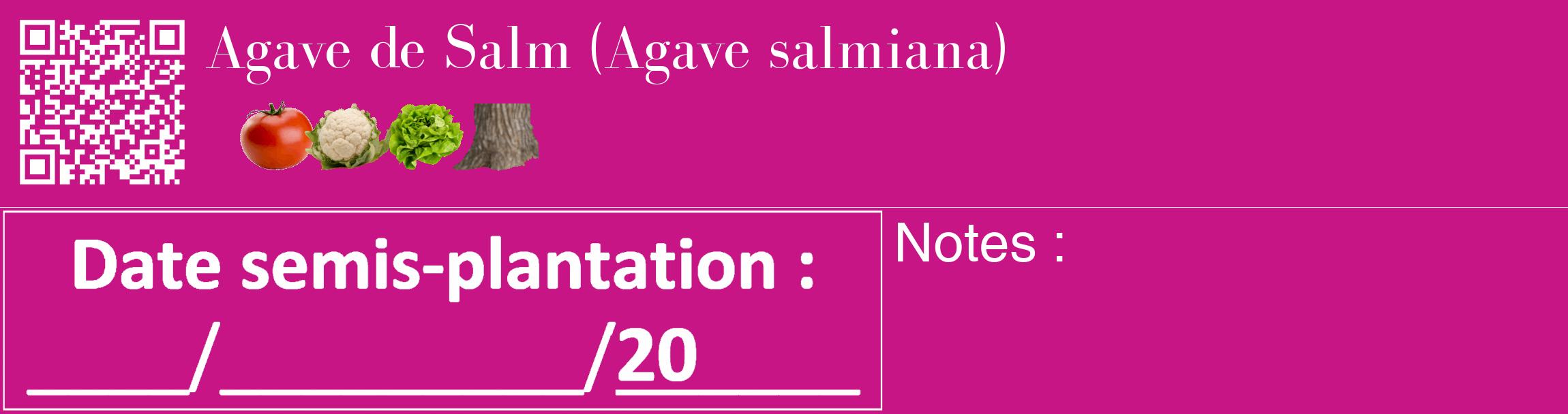 Étiquette de : Agave salmiana - format c - style blanche45_basique_basiquebod avec qrcode et comestibilité simplifiée