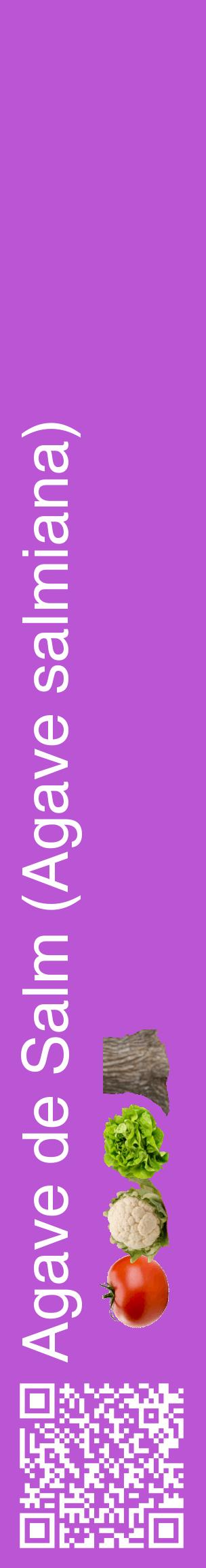 Étiquette de : Agave salmiana - format c - style blanche50_basiquehel avec qrcode et comestibilité simplifiée