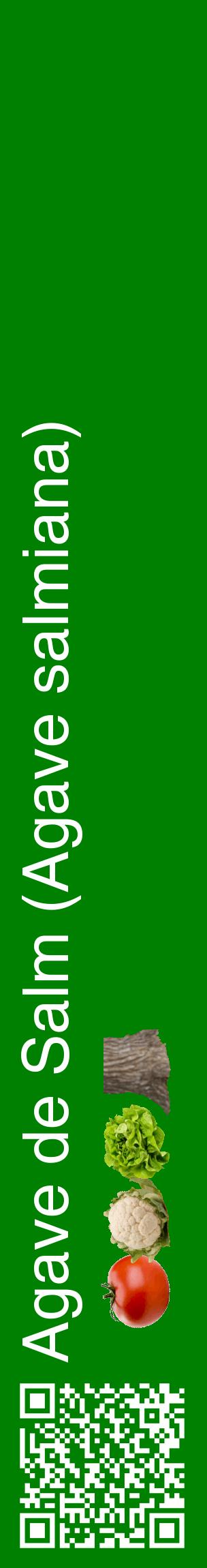 Étiquette de : Agave salmiana - format c - style blanche9_basiquehel avec qrcode et comestibilité simplifiée