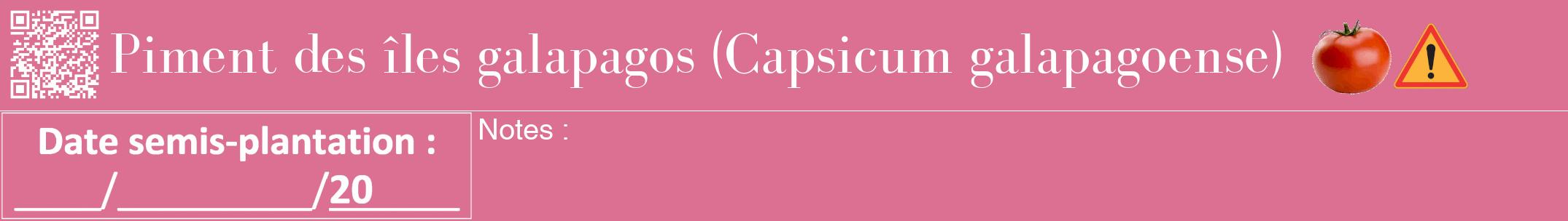 Étiquette de : Capsicum galapagoense - format a - style blanche44bod avec qrcode et comestibilité simplifiée
