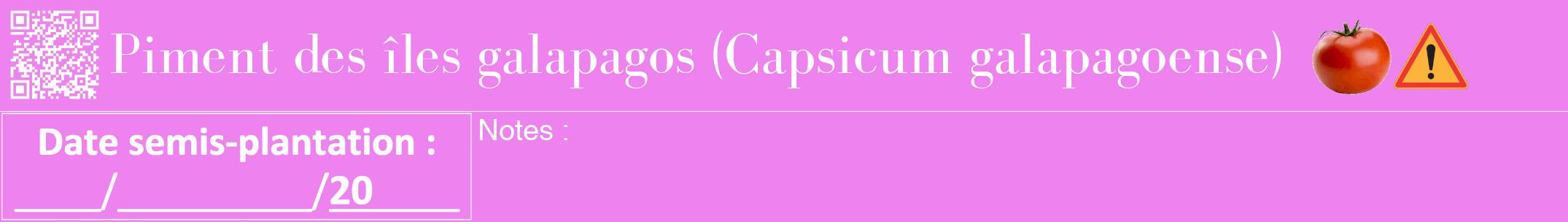Étiquette de : Capsicum galapagoense - format a - style blanche53bod avec qrcode et comestibilité simplifiée