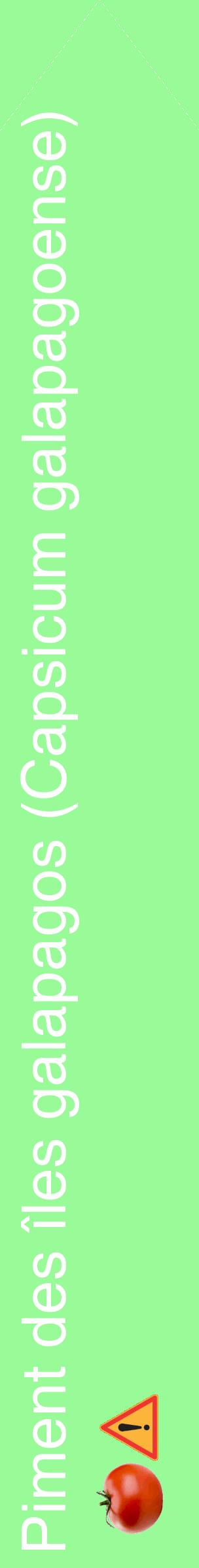 Étiquette de : Capsicum galapagoense - format c - style blanche14_simplehel avec comestibilité simplifiée