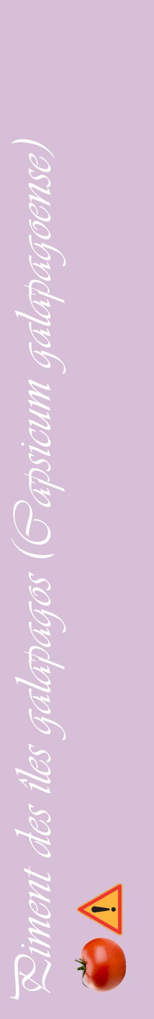 Étiquette de : Capsicum galapagoense - format c - style blanche54_basiqueviv avec comestibilité simplifiée