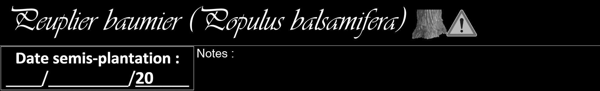 Étiquette de : Populus balsamifera - format a - style blanche59viv avec comestibilité simplifiée