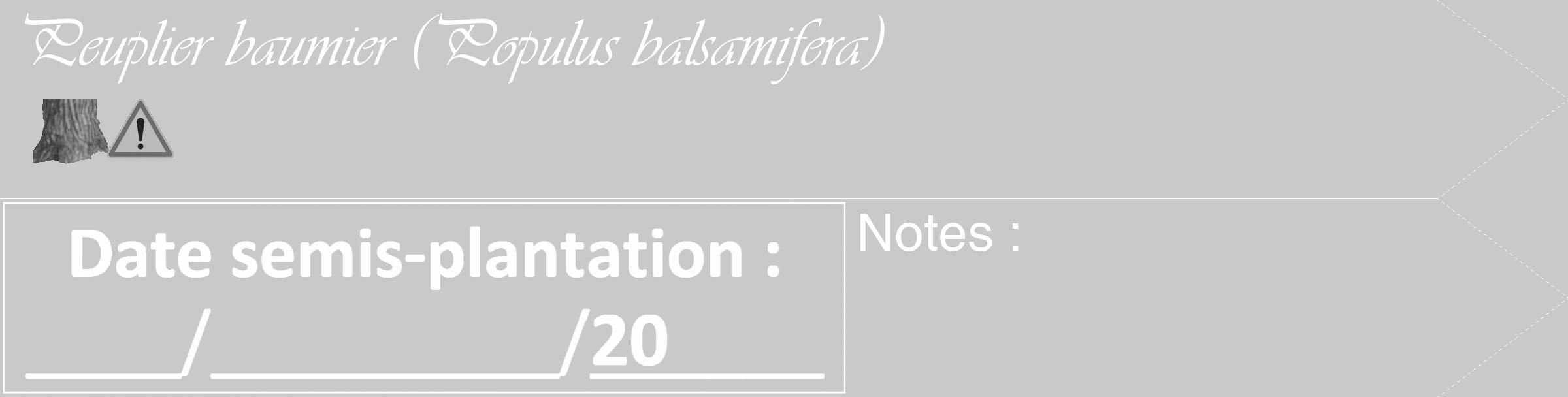 Étiquette de : Populus balsamifera - format c - style blanche54_simple_simpleviv avec comestibilité simplifiée