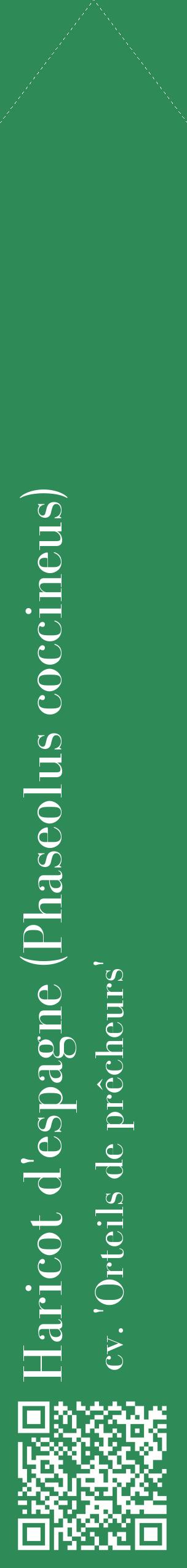 Étiquette de : Phaseolus coccineus cv. 'Orteils de prêcheurs' - format c - style blanche11_simplebod avec qrcode et comestibilité