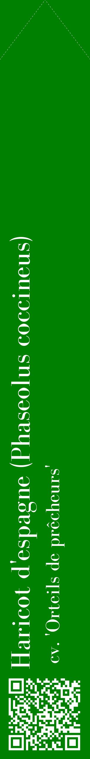 Étiquette de : Phaseolus coccineus cv. 'Orteils de prêcheurs' - format c - style blanche9_simplebod avec qrcode et comestibilité