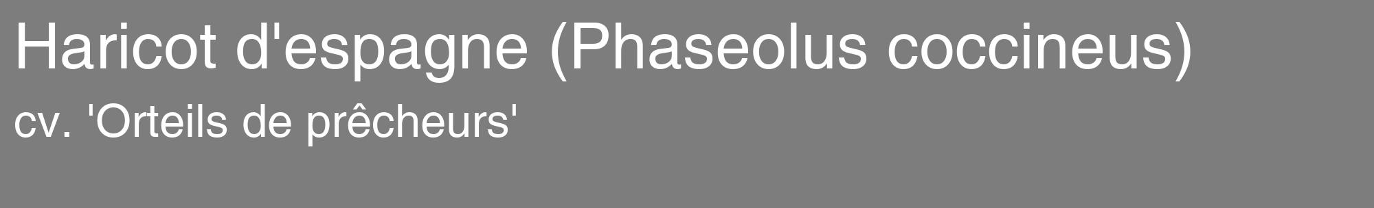 Étiquette de : Phaseolus coccineus cv. 'Orteils de prêcheurs' - format c - style blanche35_basique_basiquehel avec comestibilité