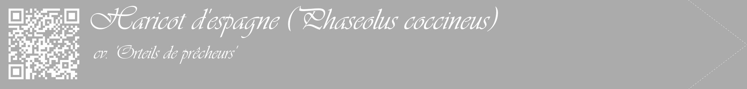 Étiquette de : Phaseolus coccineus cv. 'Orteils de prêcheurs' - format c - style blanche37_simple_simpleviv avec qrcode et comestibilité