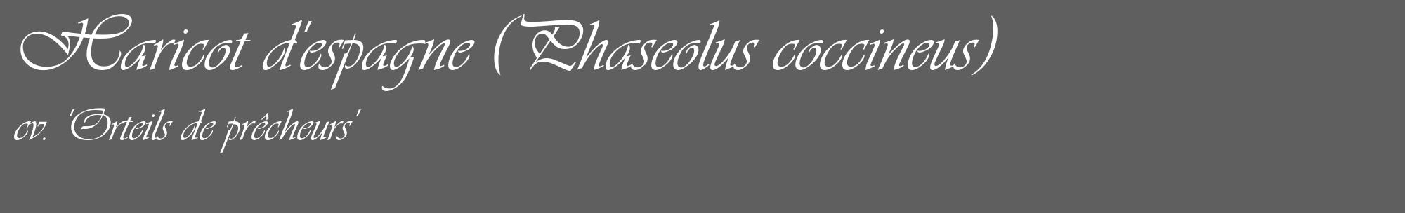 Étiquette de : Phaseolus coccineus cv. 'Orteils de prêcheurs' - format c - style blanche10_basique_basiqueviv avec comestibilité