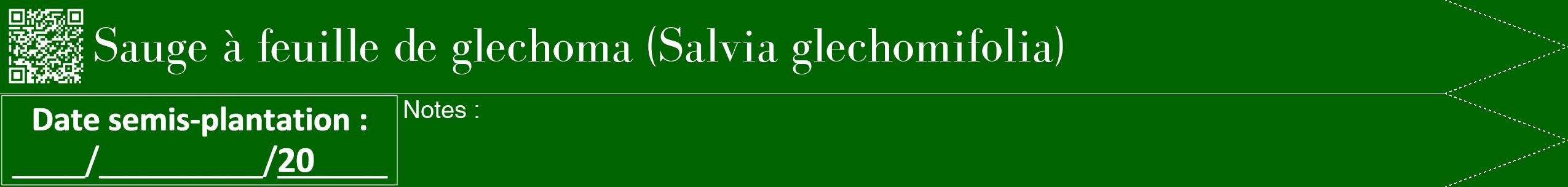 Étiquette de : Salvia glechomifolia - format b - style blanche8bod avec qrcode et comestibilité