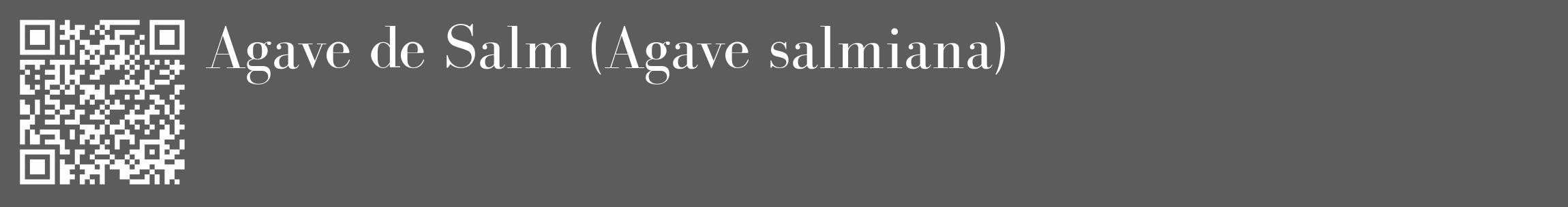 Étiquette de : Agave salmiana - format c - style blanche49_basique_basiquebod avec qrcode et comestibilité
