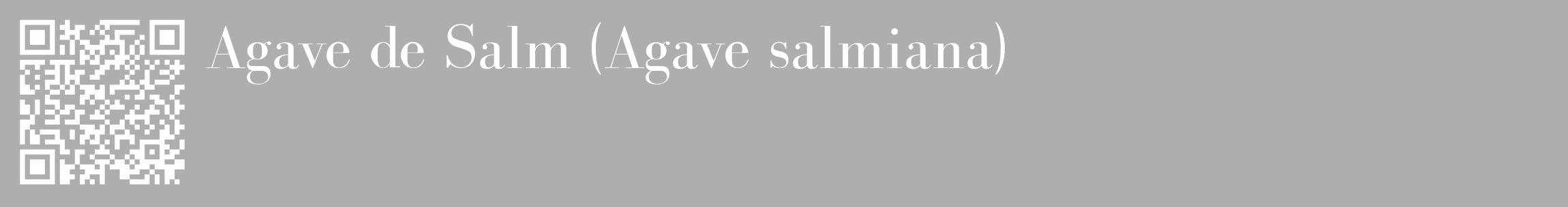 Étiquette de : Agave salmiana - format c - style blanche53_basique_basiquebod avec qrcode et comestibilité
