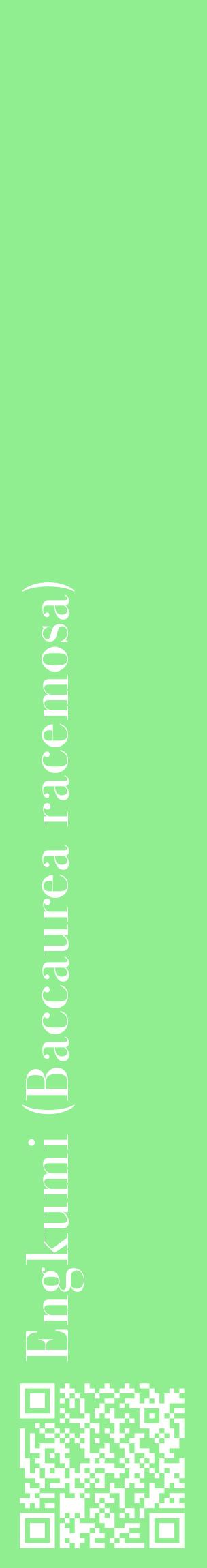 Étiquette de : Baccaurea racemosa - format c - style blanche15_basiquebod avec qrcode et comestibilité