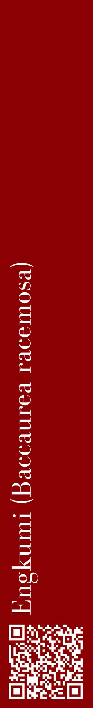 Étiquette de : Baccaurea racemosa - format c - style blanche34_basiquebod avec qrcode et comestibilité